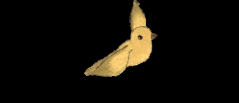 helterskelliter giphygifmaker giphyattribution bird GIF