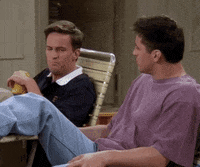 Season 4 Episode 3 GIF by Friends