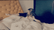 Sunday Morning Bed GIF by Maggie Rogers