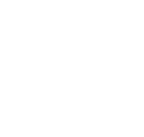 avintagethought giphyupload bird minimal fighting Sticker