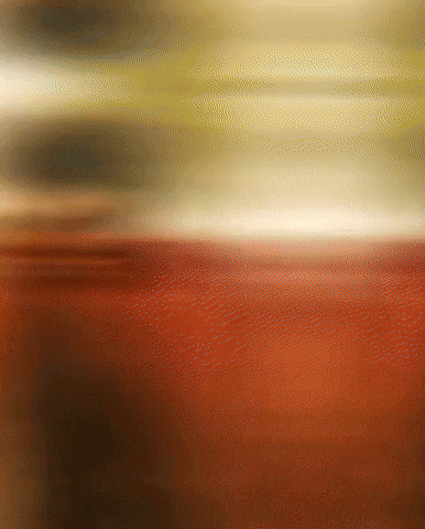 Thalapathy Vijay GIF