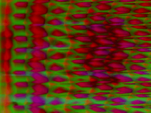 Video Art GIF by cskonopka