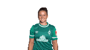 Dance Werderfrauen Sticker by SV Werder Bremen