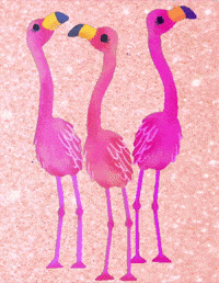 Pink Bird GIF