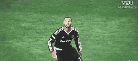 giphygifgrabber GIF
