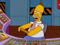 homer simpson GIF