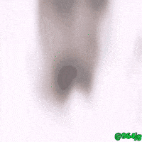 العراق‎ GIF