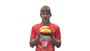 Kepco vixtorm 한국전력 빅스톰 한국전력빅스톰 Sticker