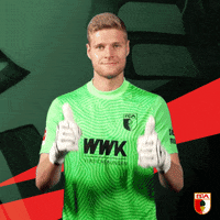 Bundesliga Thumbs Up GIF by FC Augsburg 1907