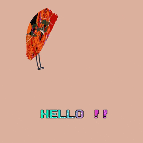 jessicacho1246 giphygifmaker hello bird owl GIF