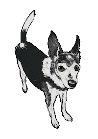 Dog Wagging Sticker by Lost Lily