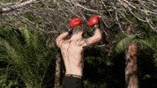 the ultimate fighter ufc GIF