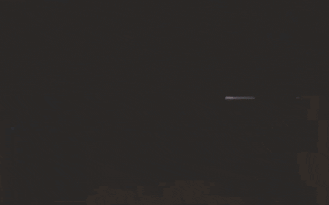 Vhs Effects GIF by Raven Banner Entertainment