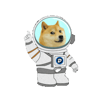 To The Moon Dancing Sticker by DigiByte Memes