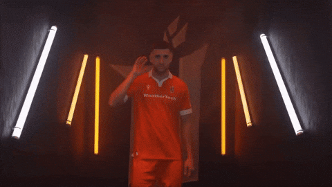 Hamilton Forge GIF by Hamilton Sports Group