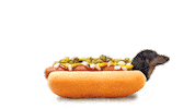 Hotdog Sausage Sticker by ProVeg