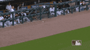 Manning Major League Baseball GIF by Detroit Tigers
