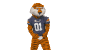 War Eagle Mascot Sticker by Auburn Tigers
