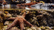 symphony for our world GIF by Nat Geo Wild 