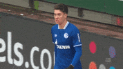 Football Keep Going GIF by FC Schalke 04