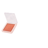 Blush Highlight Sticker by Vice Cosmetics