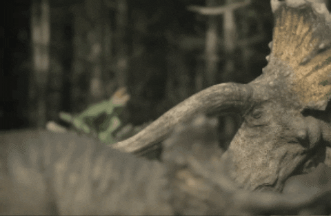 WildlifeWonders giphygifmaker GIF