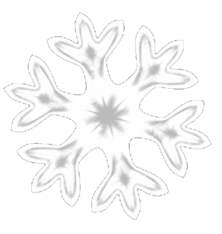 Snow Winter Sticker