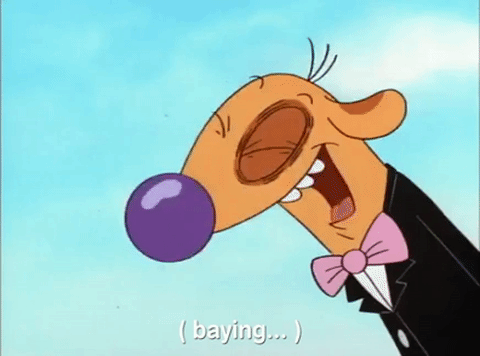nicksplat GIF