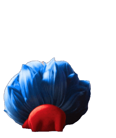 Bill Hader Cat Sticker by Warner Bros. Pictures