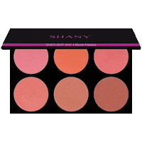 Beauty Makeup Sticker by SHANY Cosmetics