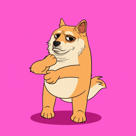 Funny Dog Floating GIF by Doge Pound