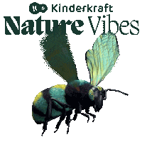 Baby Fly Sticker by Kinderkraft