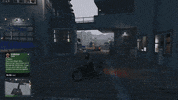 dog car GIF