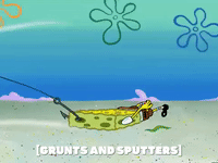 season 5 the two faces of squidward GIF by SpongeBob SquarePants