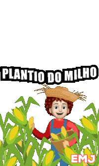 Emjccmj Emj Ccmj Plantio Milho Plantiodomilho Sticker by Escola Menino Jesus, Colégio e Curso Menino Jesus