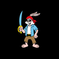 Carnaval Pirate GIF by RATP