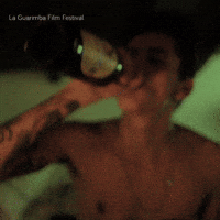Party Omg GIF by La Guarimba Film Festival