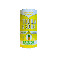 Sticker by Dulce Vida Tequila
