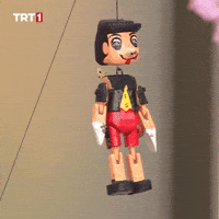 Dance Omg GIF by TRT