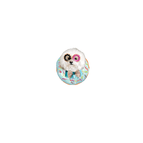 Bichon Frise Donut Sticker by Pimp Yo Pets