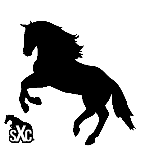 Sxc Sticker by Super X Country