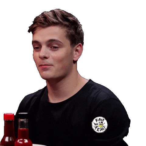 Martin Garrix Hot Ones Sticker by First We Feast