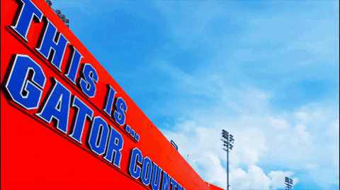 Football Stadium Sky GIF by University of Florida