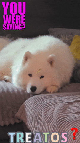 Candy Treat GIF