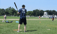 softball homerun GIF by DC Fray