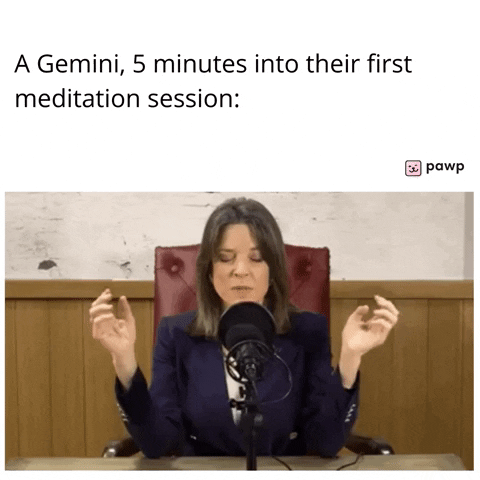 mypawp giphyupload GIF