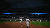 Willy Adames Win GIF by MLB