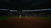Willy Adames Win GIF by MLB