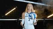 Georgia Tech Volleyball GIF by Georgia Tech Yellow Jackets