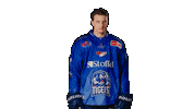 Loibl Sticker by Straubing Tigers